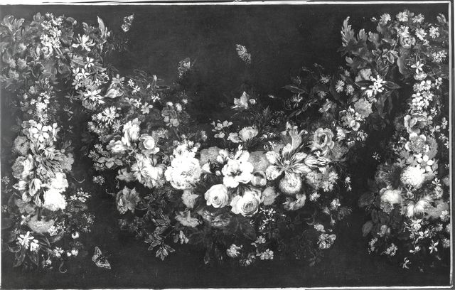 Anonimo — Volò Giuseppe (Vicenzino) - sec. XVII/ XVIII - Festone di fiori con farfalle — insieme